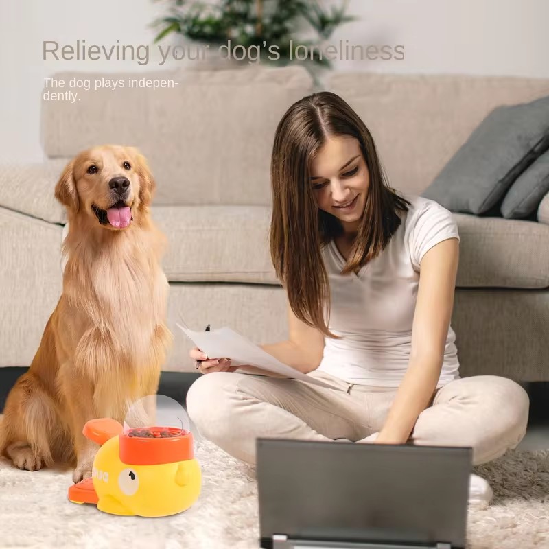 Interactive Pet Feeder Toy wit - Dog Puzzle Feeder Toy recension och pris