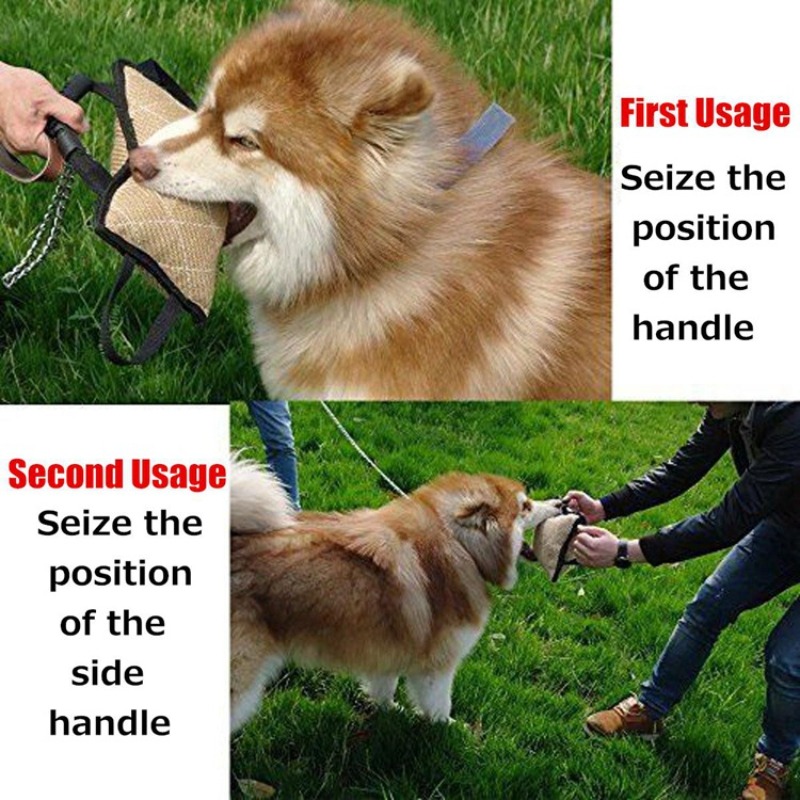 Durable Dog Training Bite Tug  - Interactive Squeaky Plush Dog Toy recension och pris