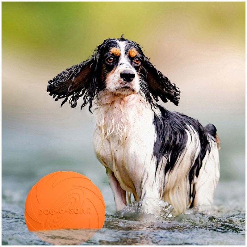 Interactive Silicone Flying Sa - Flying Disc Dog Training Toy recension och pris