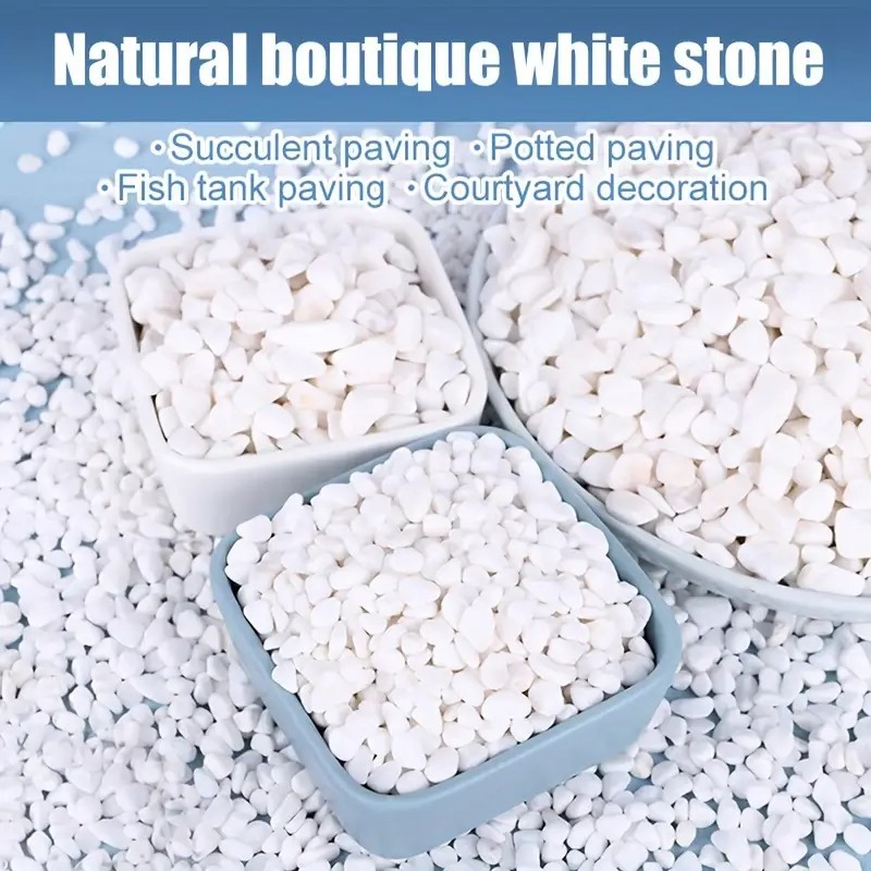 1L High-Quality Perlite Succul - Pet Beds recension och pris
