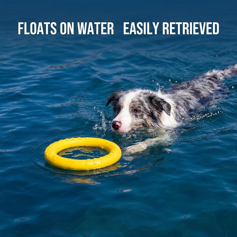 Dog Toys Pet Flying Discs EVA  - Flying Disc Dog Training Toy recension och pris