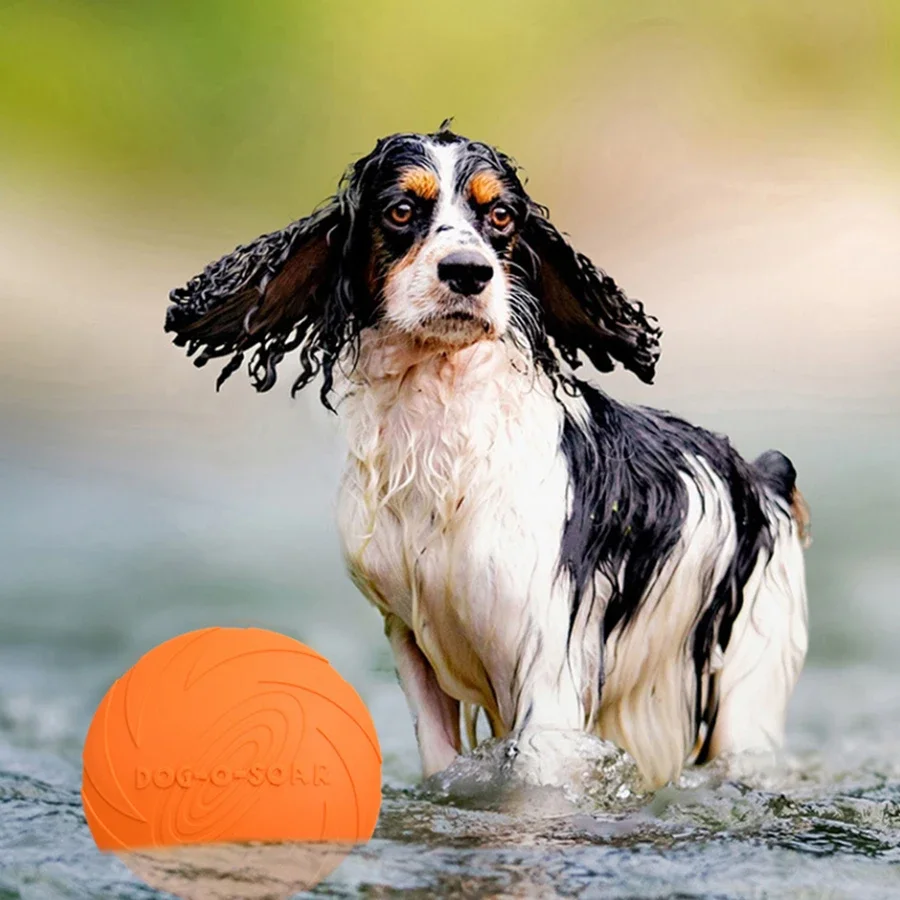 G Large Dog Golden Fur Pet Fly - Flying Disc Dog Training Toy recension och pris