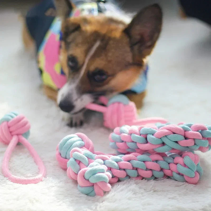 JUSTINLAU Pet Toys Anti-bite T - Indestructible Dog Chew Toy recension och pris
