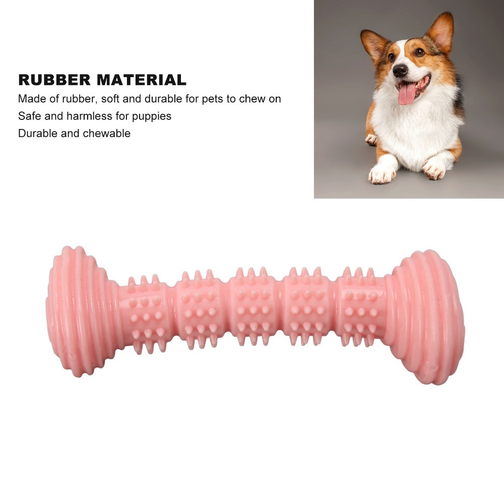 TPR Compound Dog Chew Toy Flex - Rubber Treat Dispensing Dog Toy recension och pris
