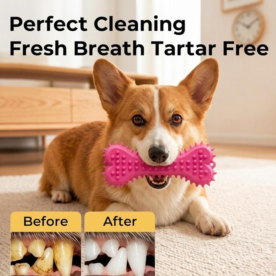 3/6pcs Chew Toys Dog Rubber To - Teeth Cleaning Dog Chew Bone recension och pris